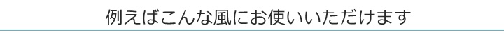 例えばこんな風にお使いいただけます