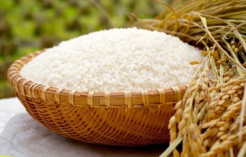 米は真空米びつセビアで真空保存