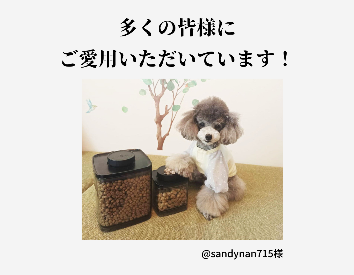 多くの皆様にご愛用いただいております_sandynan775sama